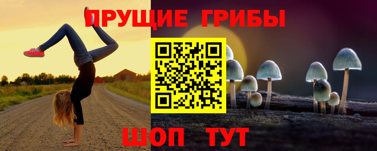 Псилоцибиновые грибы Psilocybe  Вход с VPN  Альметьевск 